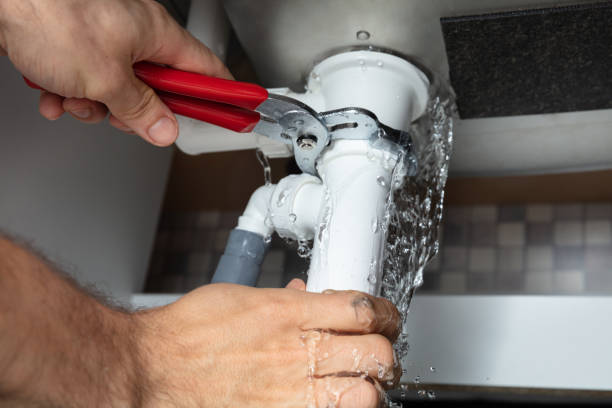Best Mold removal after water damage  in Greenup, IL