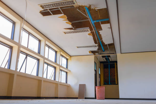 Best 24/7 water damage repair  in Greenup, IL