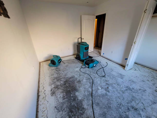 Best Fire Damage Restoration  in Greenup, IL