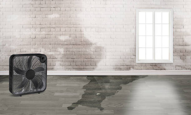 Best Commercial water damage restoration  in Greenup, IL