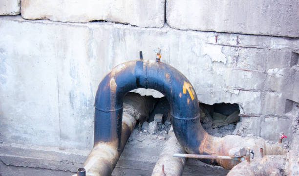 Best Carpet water damage restoration  in Greenup, IL